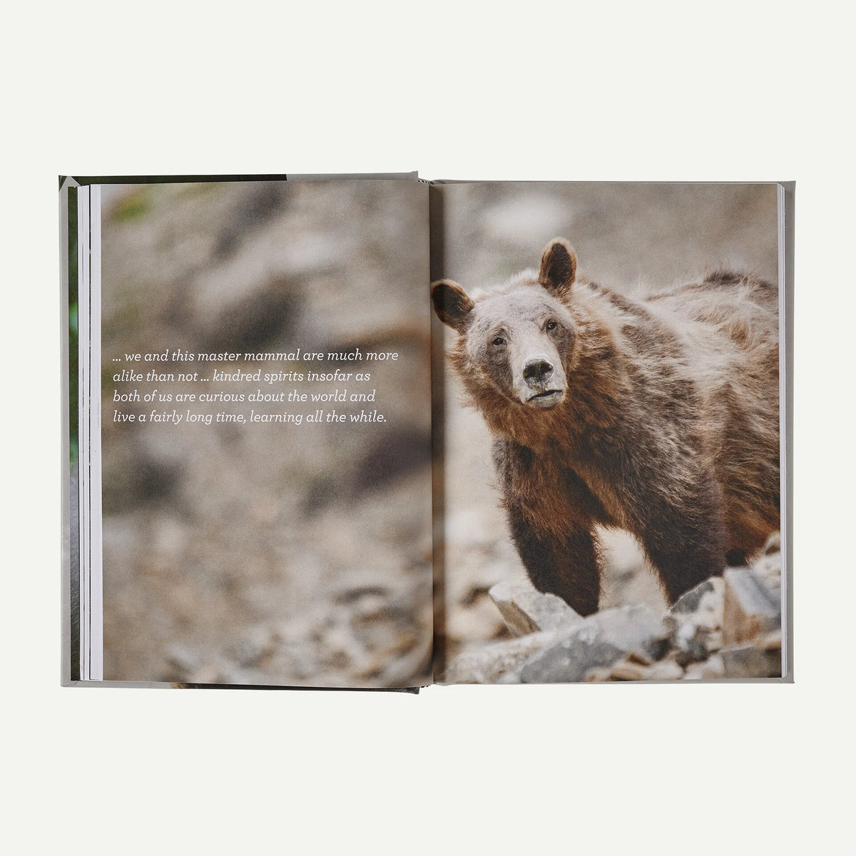 Four Fifths a Grizzly: A New Perspective on Nature that Just Might Save Us All (by Douglas Chadwick) Main image