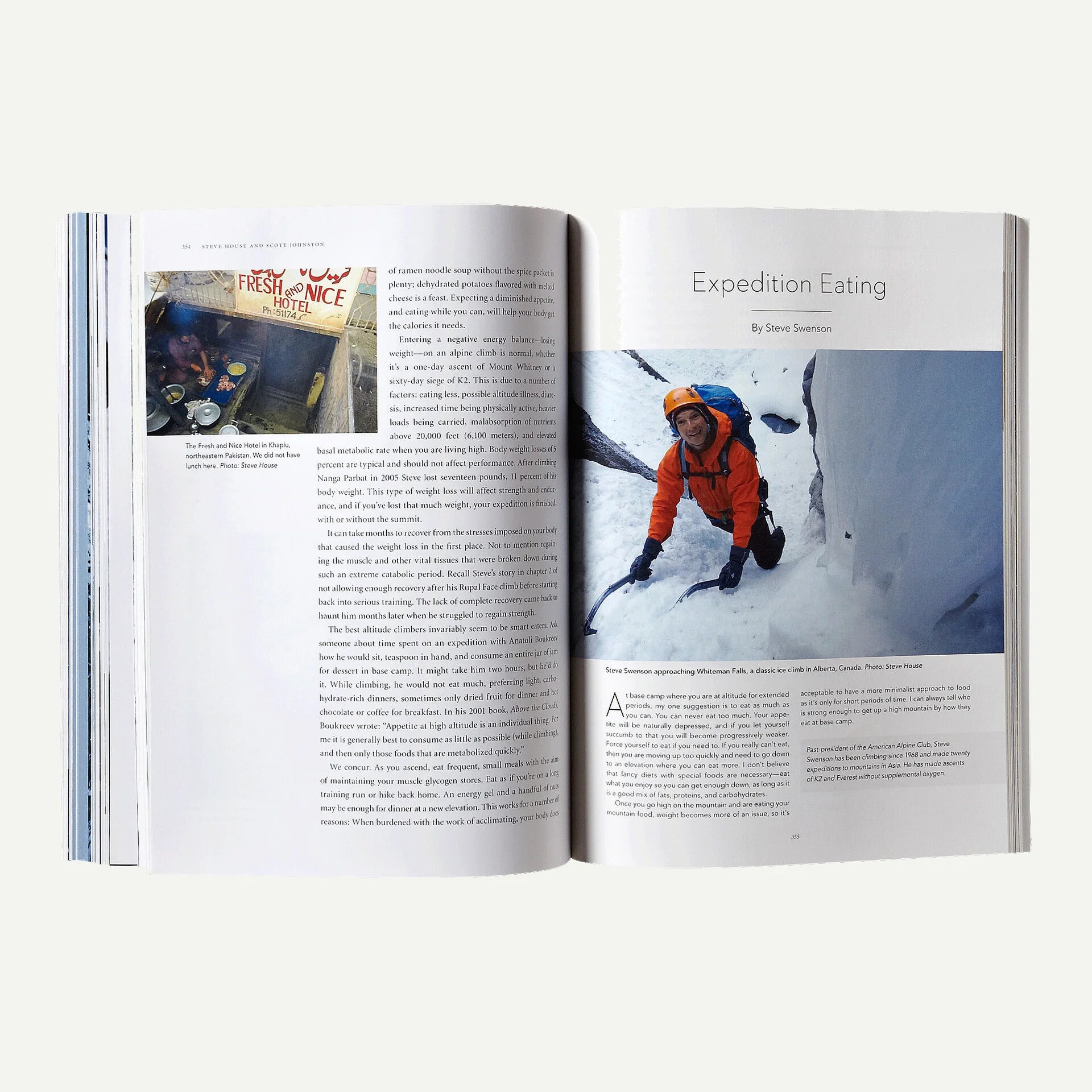 Training for the New Alpinism: A Manual for the Climber as Athlete by Steve House and Scott Johnston (Patagonia published paperback book) Secondary image