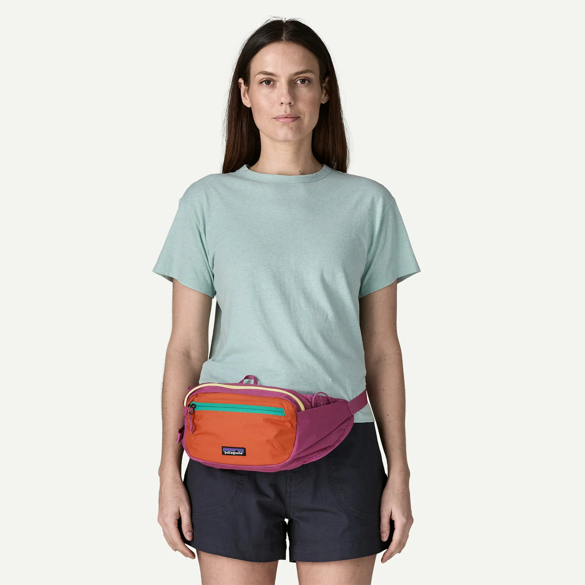 Terravia Hip Pack Main image