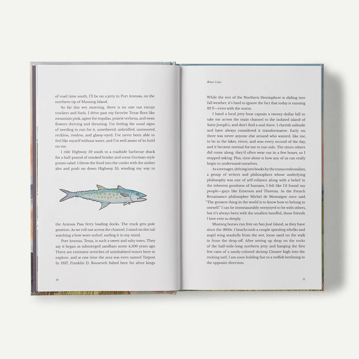 Water Lines: A Life on Marshes, Rivers, Seas and in the Rain, hardcover, published by Patagonia
