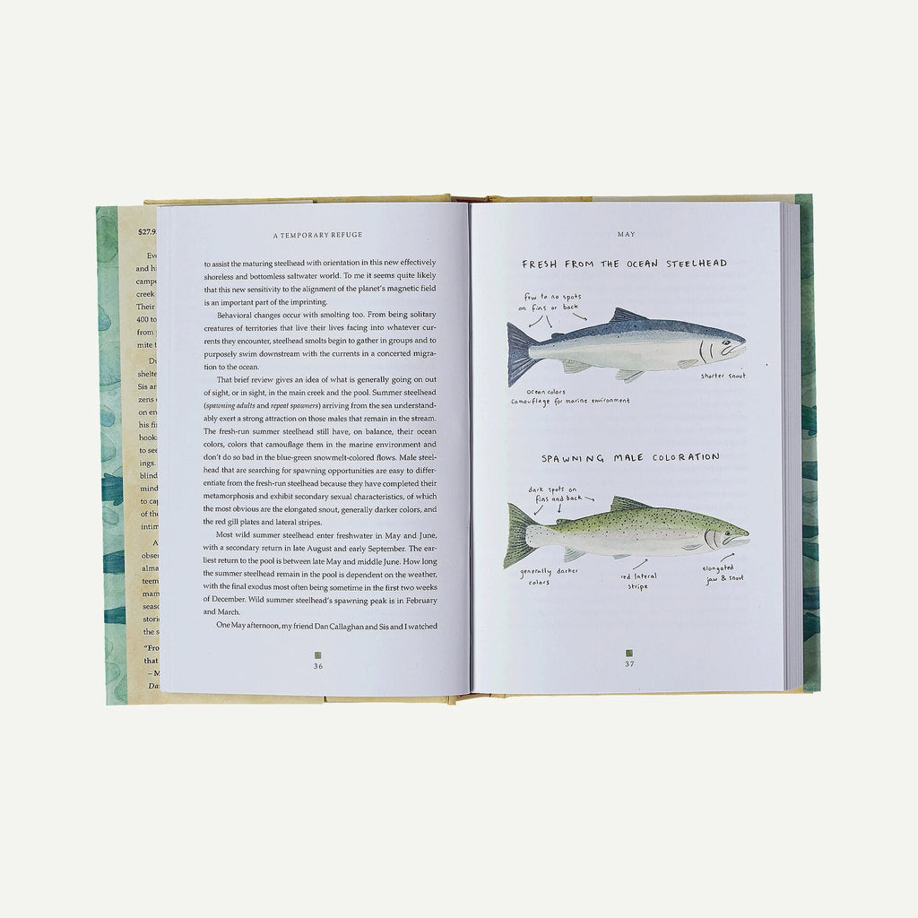 A Temporary Refuge: Fourteen Seasons with Wild Summer Steelhead by Lee Spencer (hardcover book)