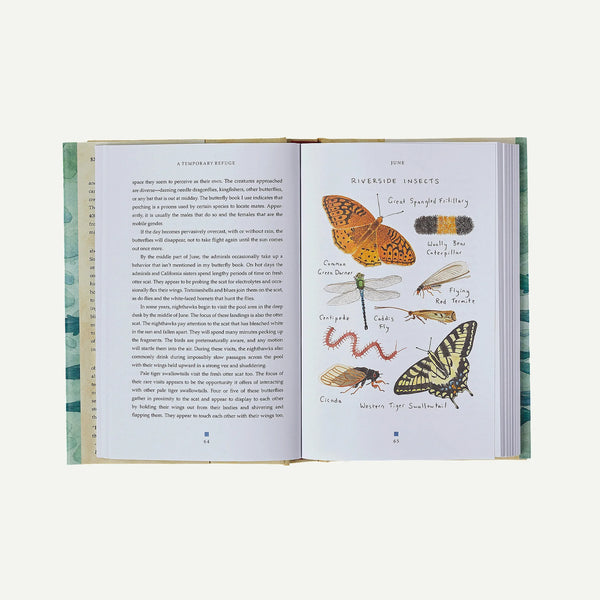 A Temporary Refuge: Fourteen Seasons with Wild Summer Steelhead by Lee Spencer (hardcover book)