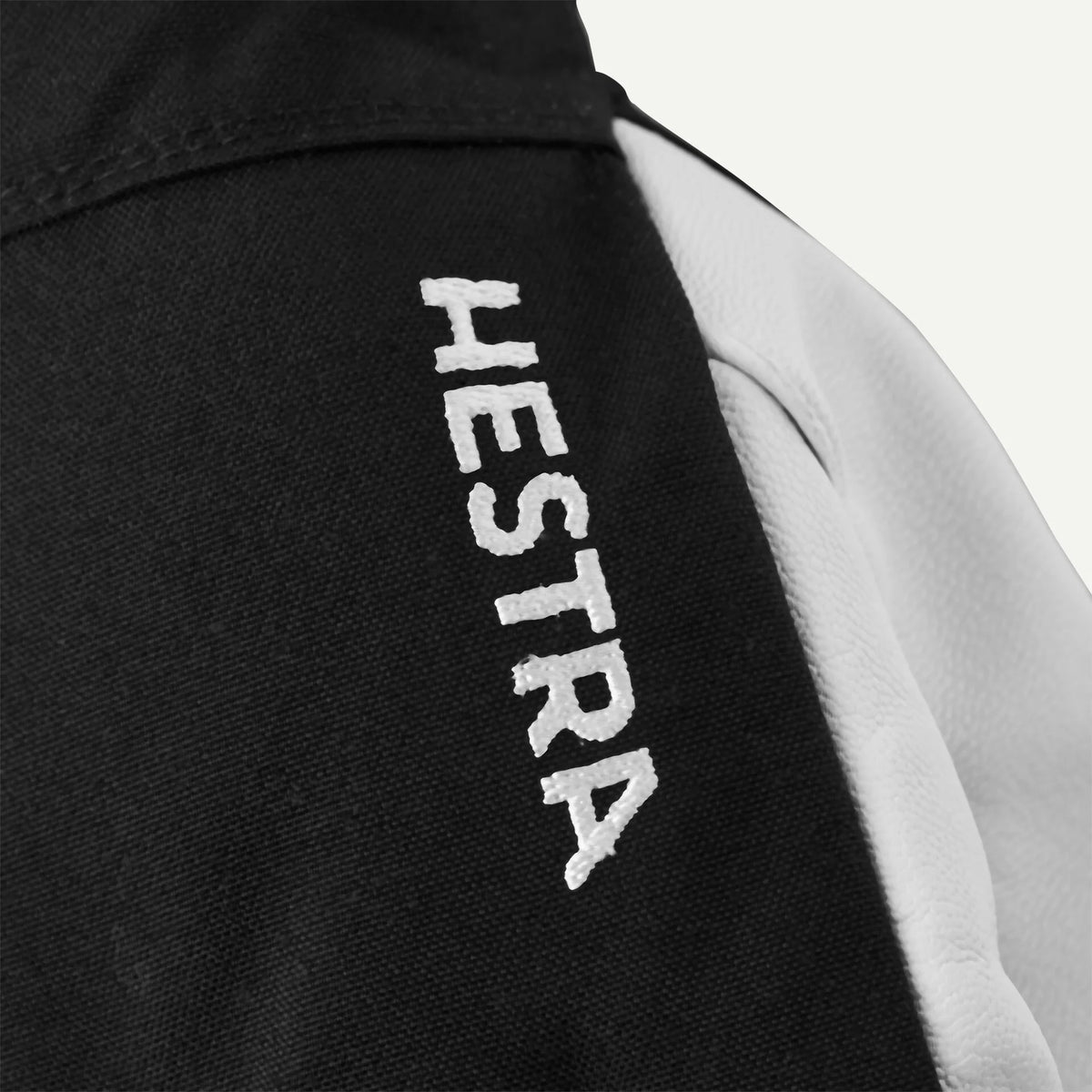 Hestra® M's Army Leather Heli Ski Glove Main image