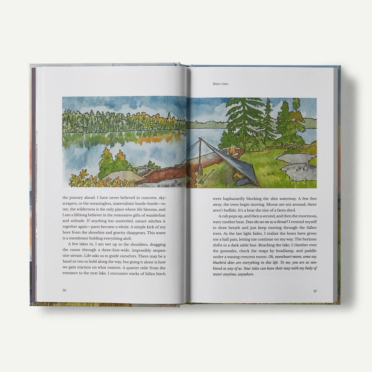 Water Lines: A Life on Marshes, Rivers, Seas and in the Rain, hardcover, published by Patagonia
