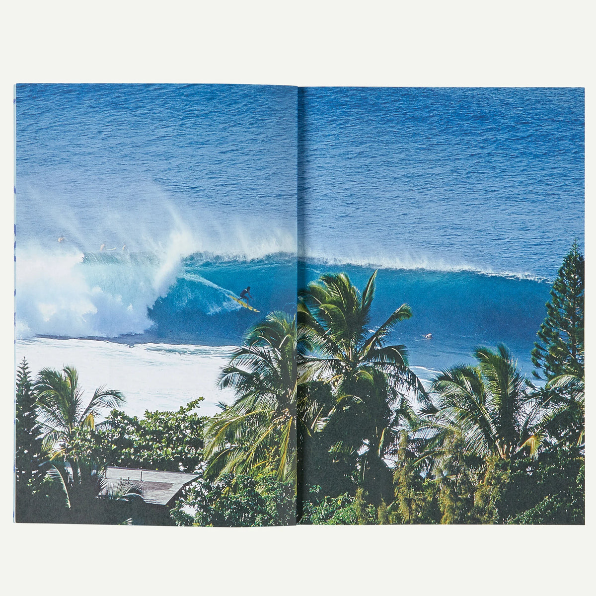Surf Is Where You Find It: The Wisdom of the Waves: Any Time, Anywhere, Any Way (paperback, published by Patagonia)