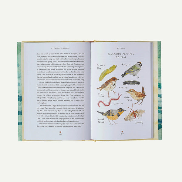 A Temporary Refuge: Fourteen Seasons with Wild Summer Steelhead by Lee Spencer (hardcover book)