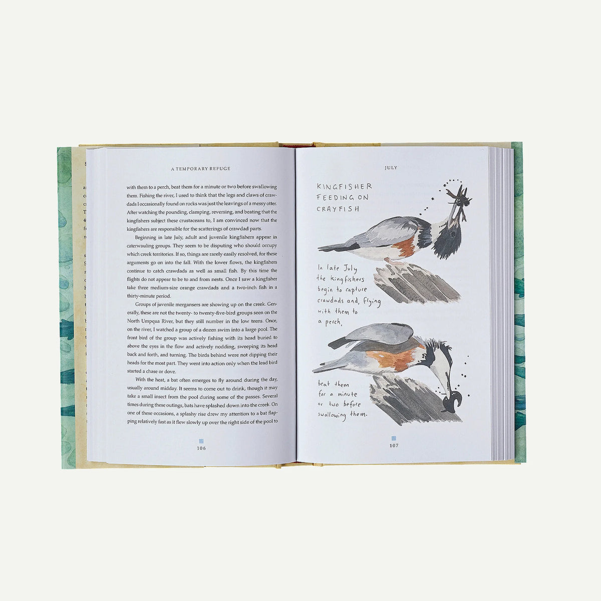 A Temporary Refuge: Fourteen Seasons with Wild Summer Steelhead by Lee Spencer (hardcover book) Main image