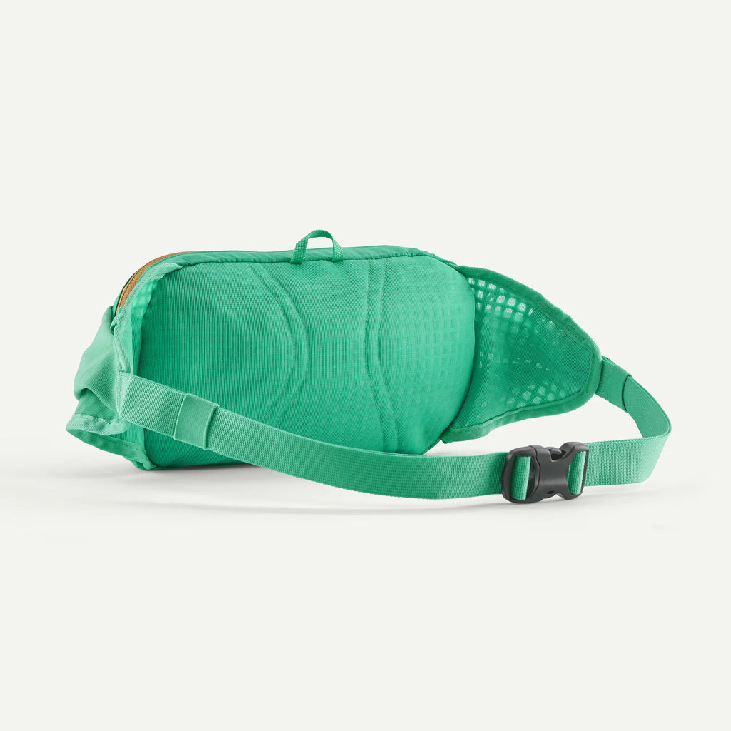 Terravia Hip Pack