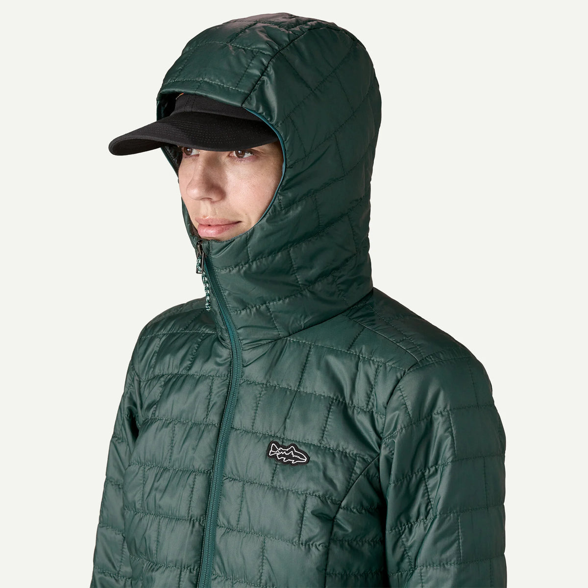 W's Nano Puff® Fitz Roy Trout Hoody