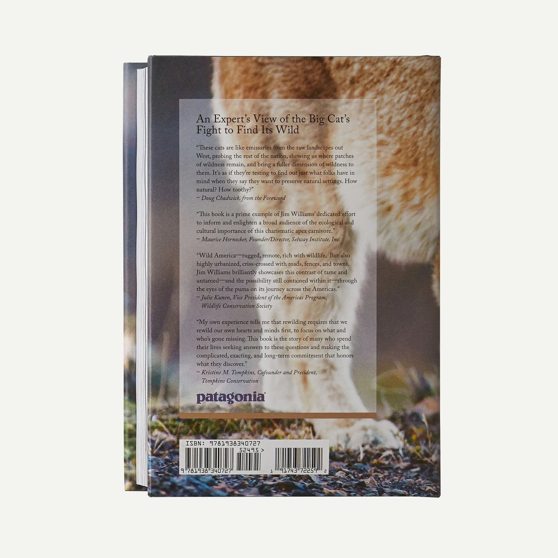 Path of the Puma: The Remarkable Resilience of the Mountain Lion (hardcover book) Secondary image