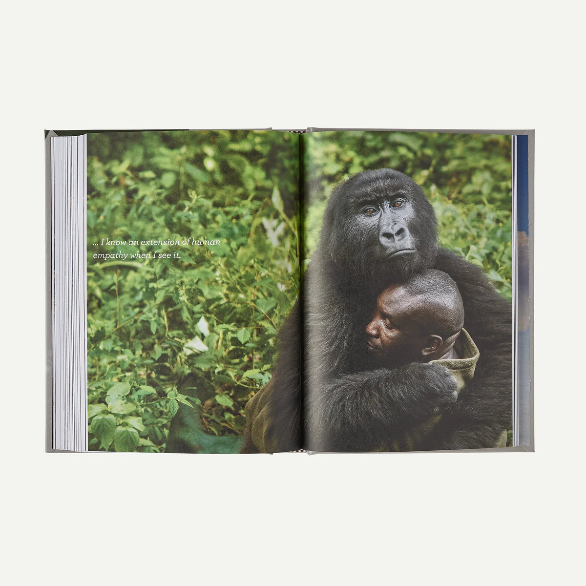 Four Fifths a Grizzly: A New Perspective on Nature that Just Might Save Us All (by Douglas Chadwick)