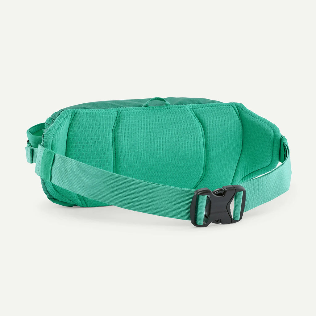 Black Hole® Waist Pack 5L