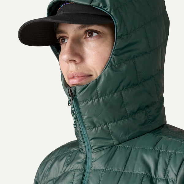 W's Nano Puff® Fitz Roy Trout Hoody