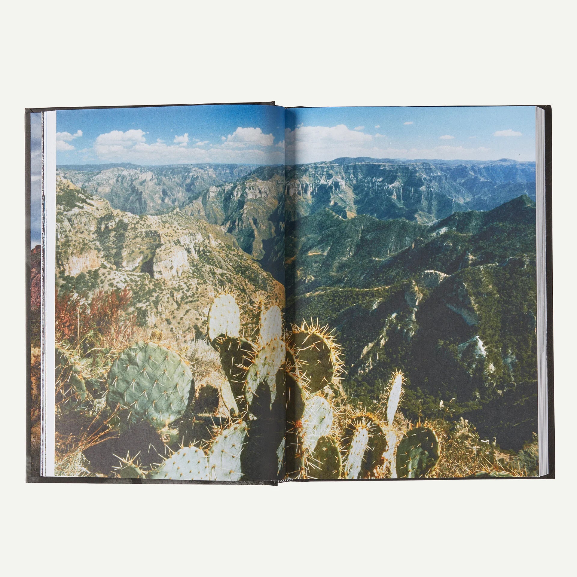 Was It Worth It?: A Wilderness Warrior's Long Trail Home (by Doug Peacock) Secondary image