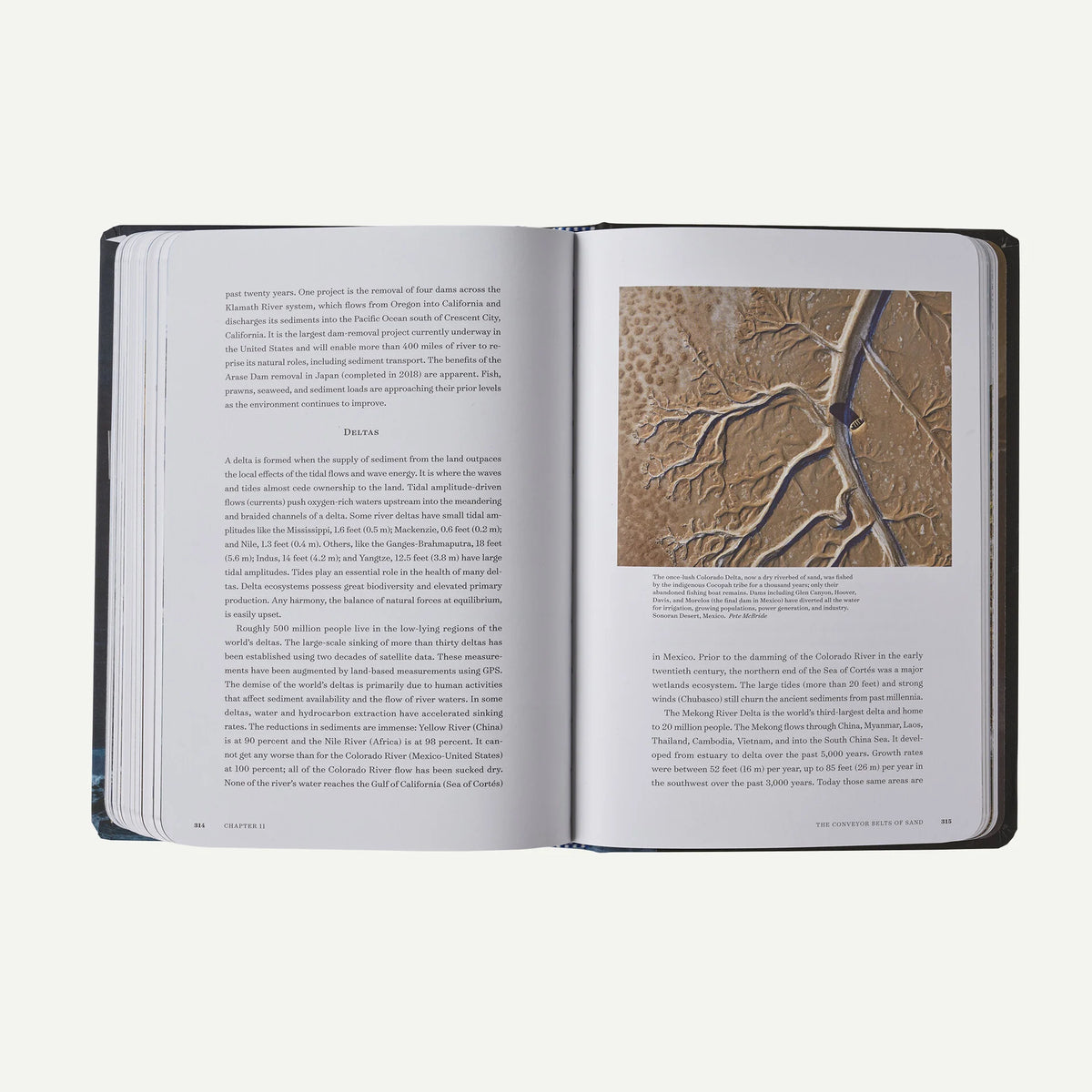 Waves and Beaches: The Powerful Dynamics of Sea and Coast (By Willard Bascom and Kim McCoy) Main image