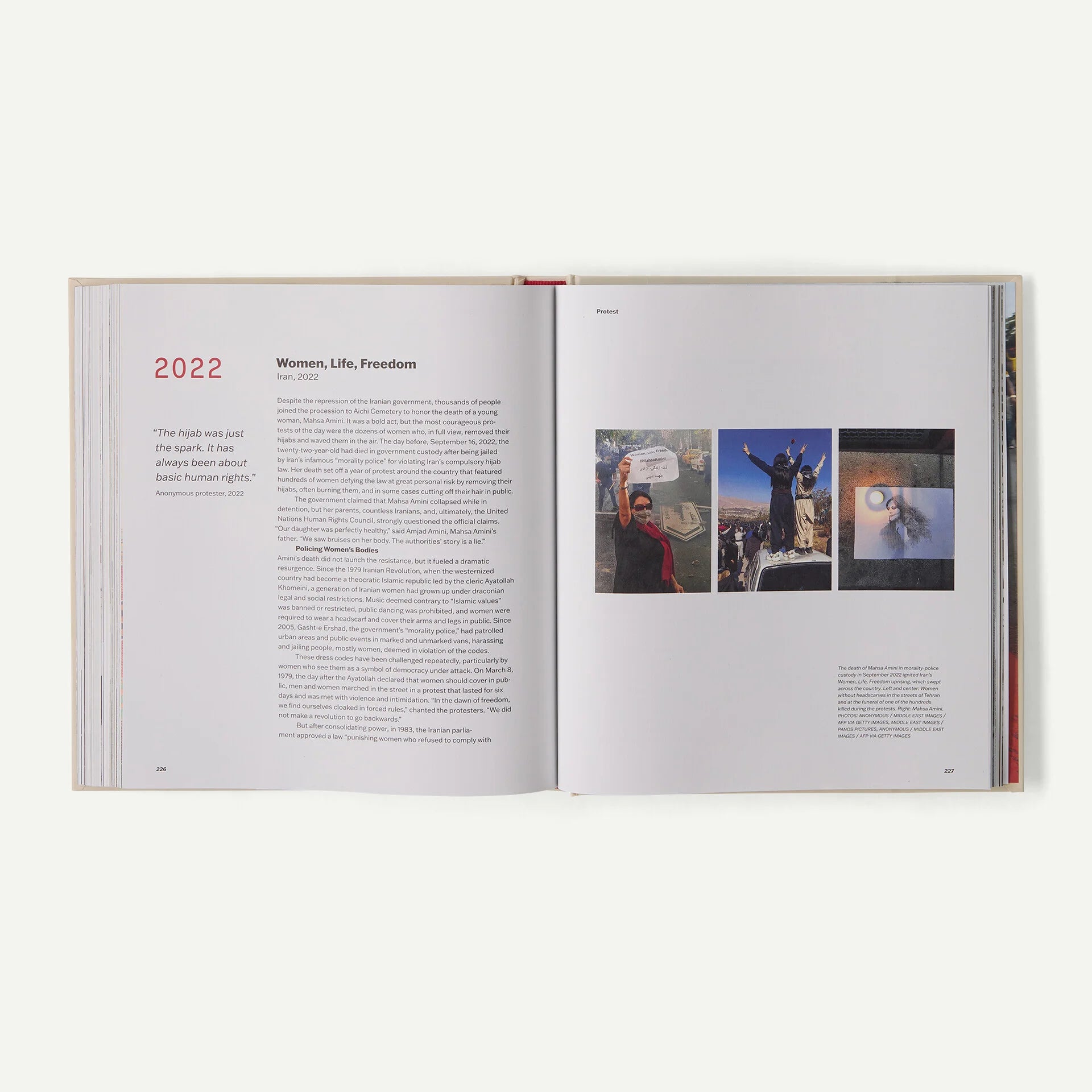 Protest: Respect It. Defend It. Use It, hardcover, published by Patagonia Secondary image
