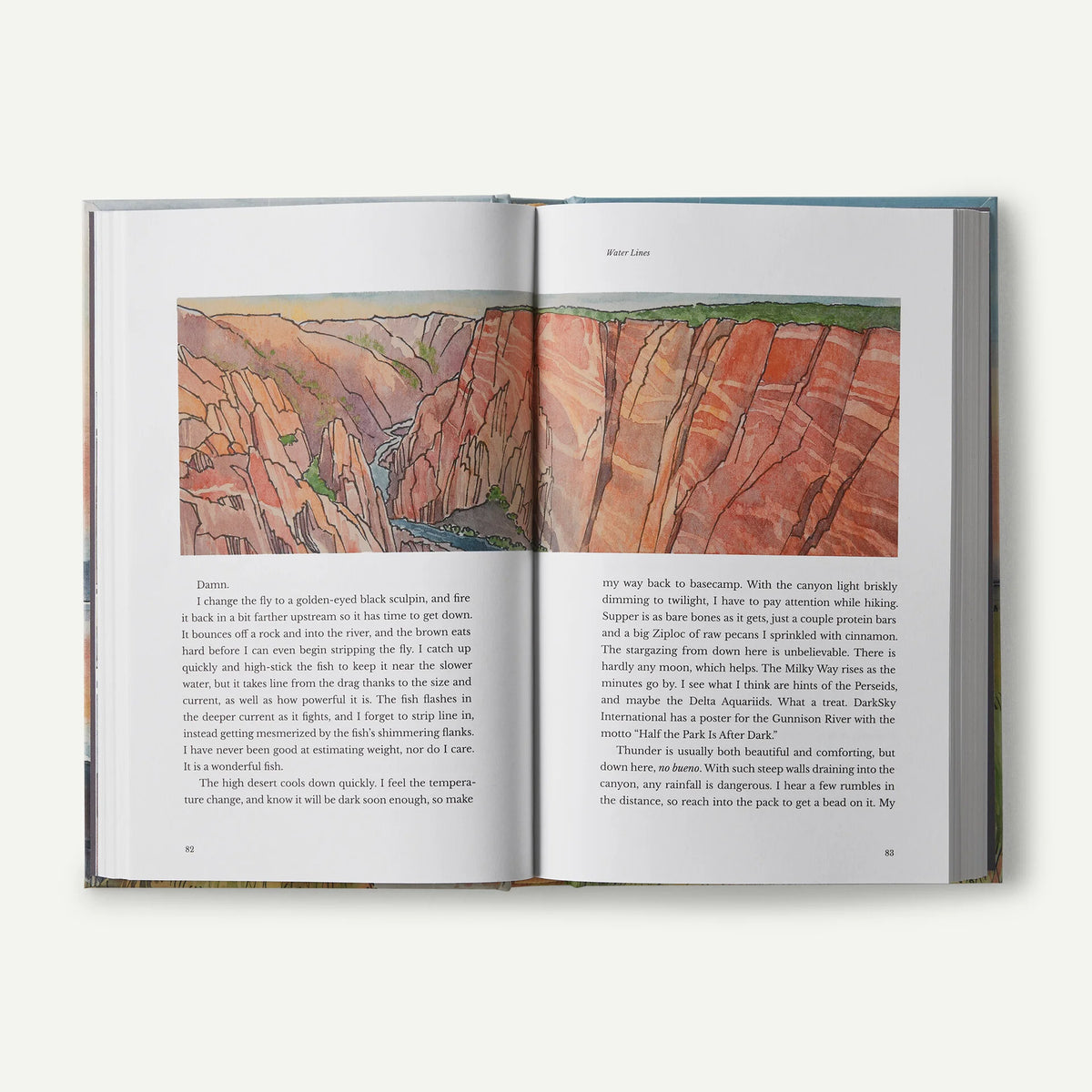 Water Lines: A Life on Marshes, Rivers, Seas and in the Rain, hardcover, published by Patagonia