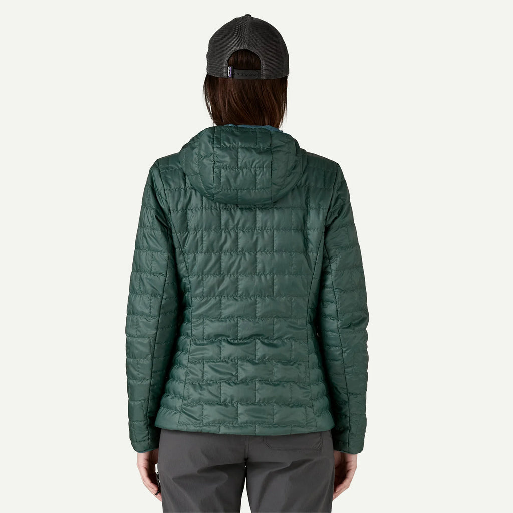 W's Nano Puff® Fitz Roy Trout Hoody