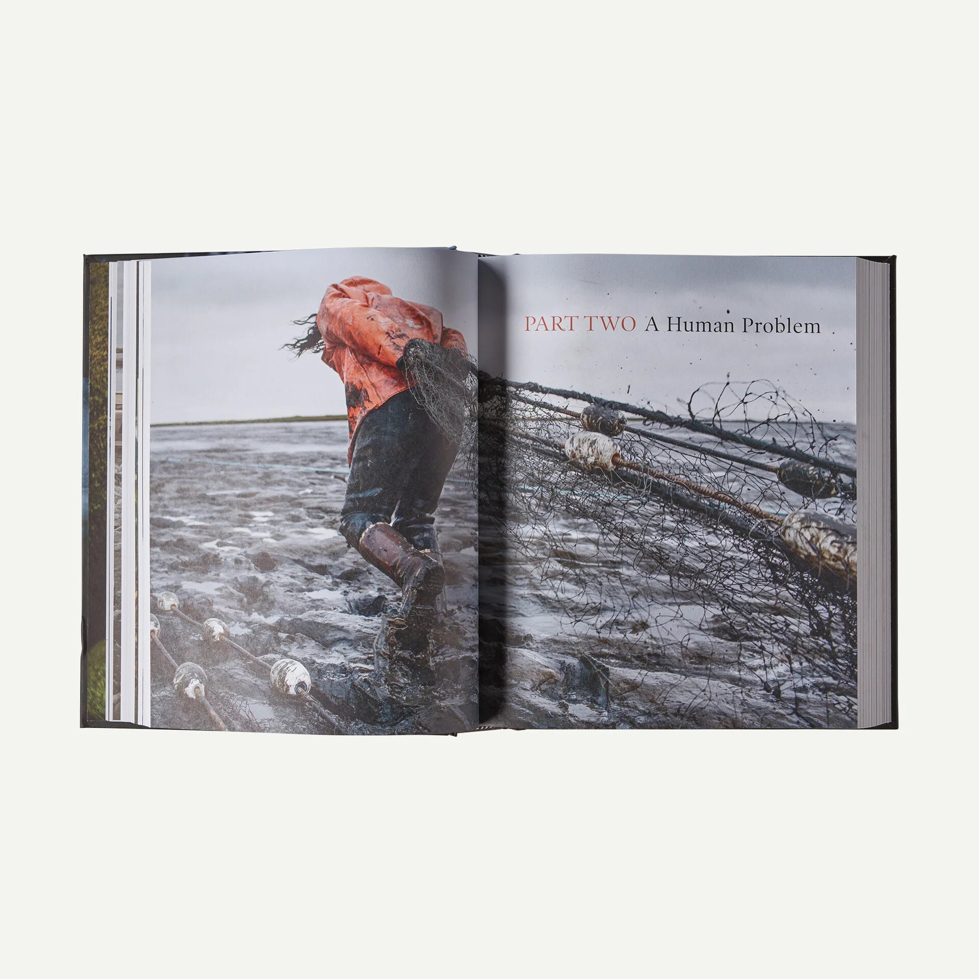 Salmon: A Fish, the Earth and the History of Their Common Fate (hardcover book published by Patagonia) Secondary image
