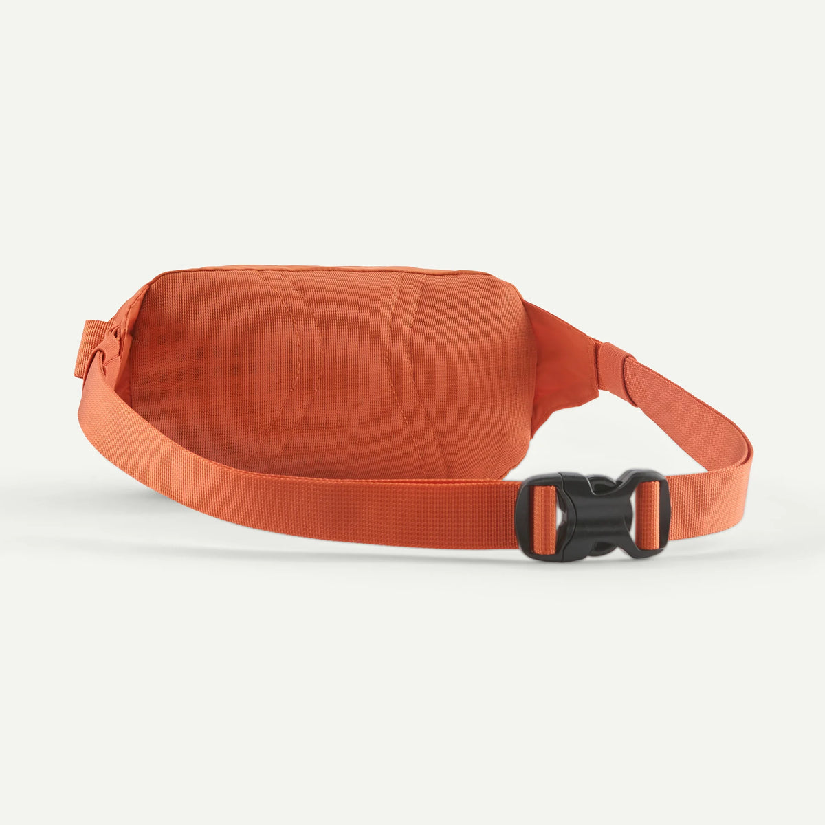Terravia Mini Hip Pack 1L Main image