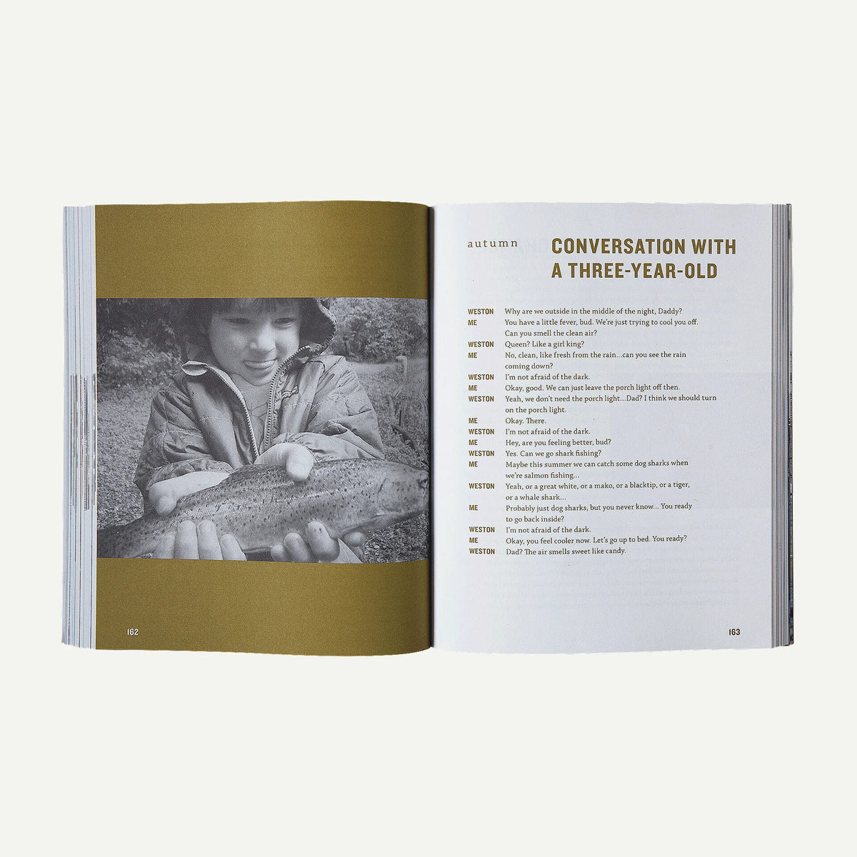 Closer to the Ground by Dylan Tomine (Patagonia paperback book) Main image
