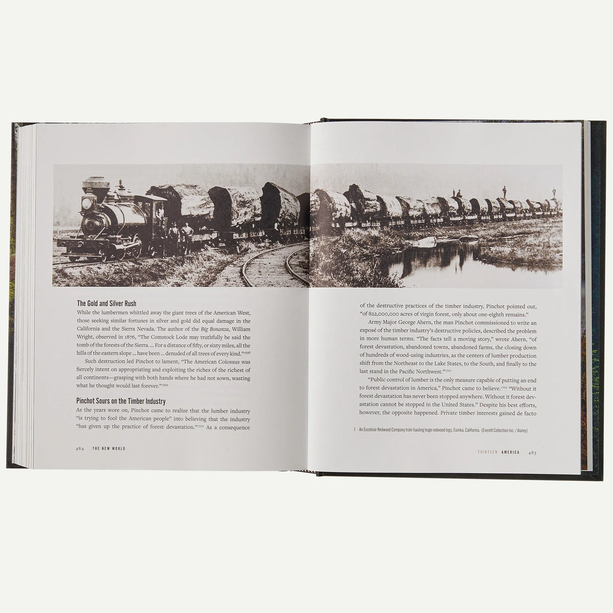 A Forest Journey: The Role of Trees in the Fate of Civilization (hardcover, published by Patagonia) Main image