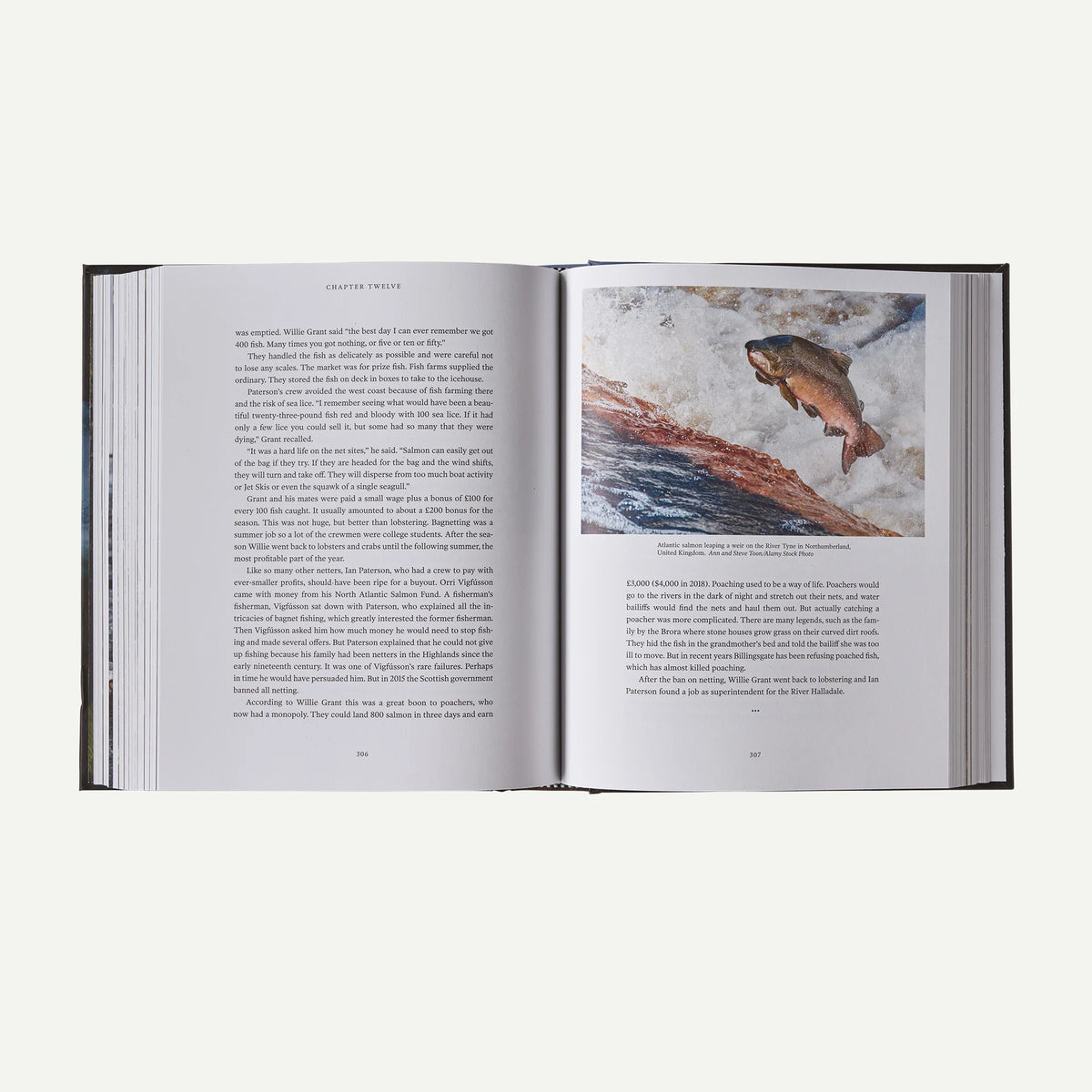 Salmon: A Fish, the Earth and the History of Their Common Fate (hardcover book published by Patagonia) Main image