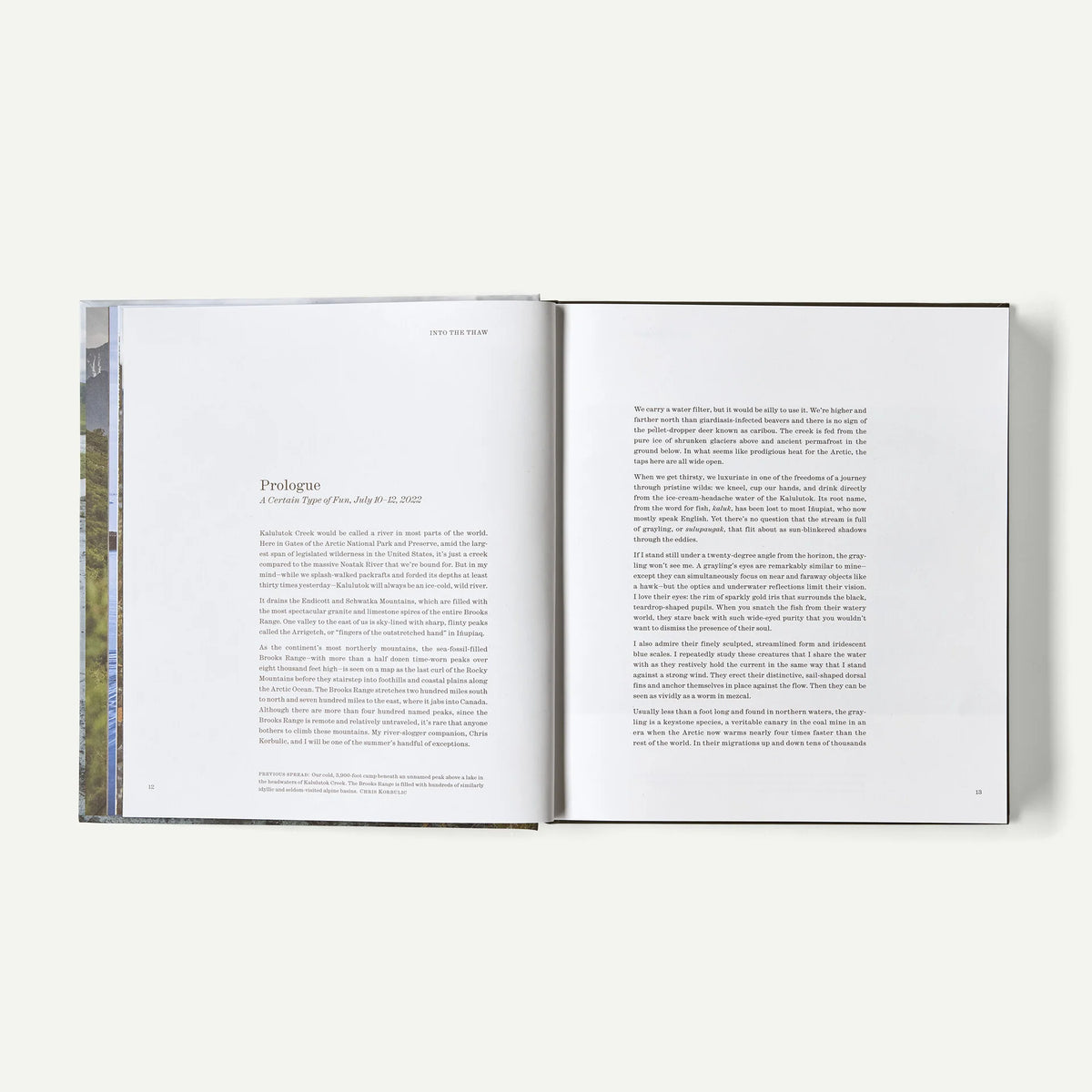 Into the Thaw: Witnessing Wonder amid the Arctic Climate Crisis (hardcover, published by Patagonia) Main image